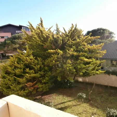 Appartement Renove Avec Balcon, Proche Plage Et Marche - 4 Pers, Calme & Confort A Seignosse - Fr-1-239-460 Exterior foto